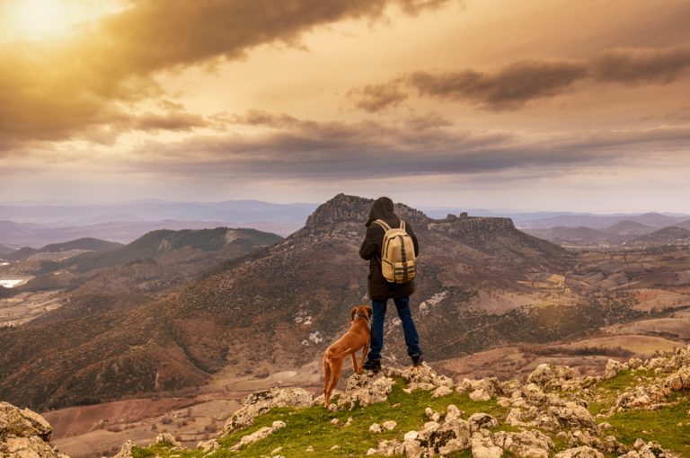 Eco Sports Group Landscape