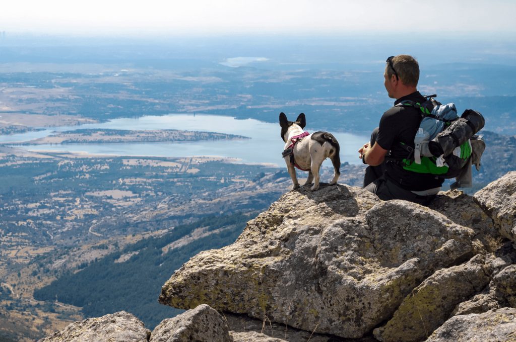 Eco Sports Group Landscape